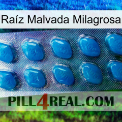 Raíz Malvada Milagrosa viagra1